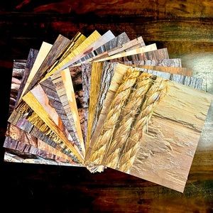 Scrapbook Paper! Wood Backgrounds & Textures! 12x12”